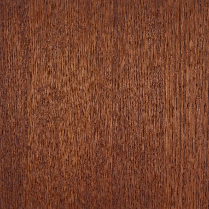 Arabica